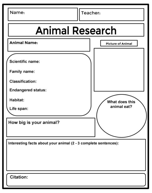 Google Classroom Animal Research Graphic Organizer